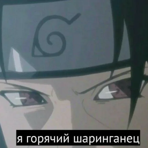 👨 Стикер «survivors_people» для Telegram