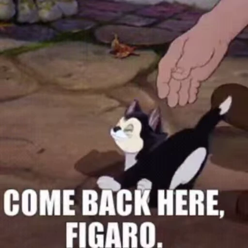 🤨 Стикер «Figaro C» для Telegram