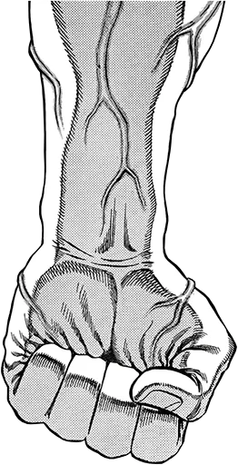 ✊️ Стикер «Hajime no ippo» для Telegram