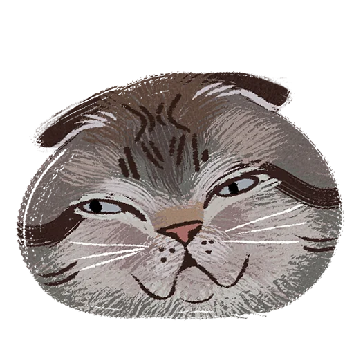 🤨 Стикер «Котомемы» для Telegram