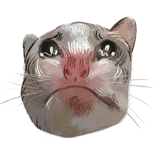 😢 Стикер «Котомемы» для Telegram