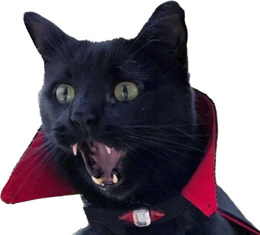 🦇 Стикер «finarezu» для Telegram