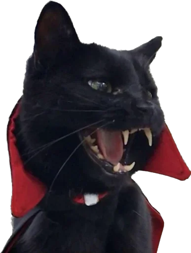🧛‍♂️ Стикер «finarezu» для Telegram