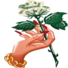 🌹 Эмодзи «? FINDOM ?» для Telegram