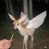 🦌 Эмодзи «fine» для Telegram
