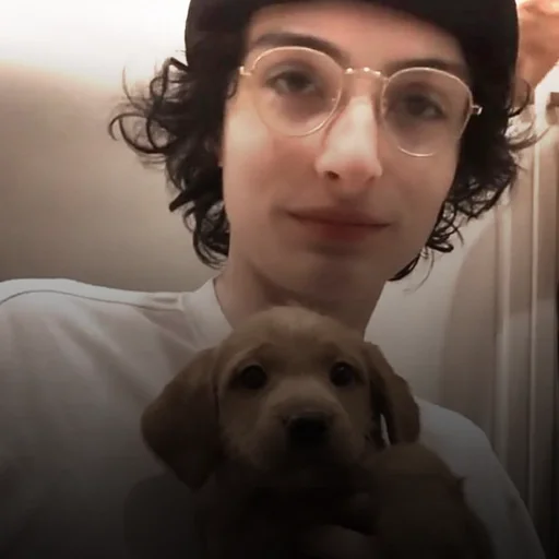 😽 Стикер «┆┆Фінн ⋄» для Telegram