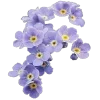 Стикер 31 Фиол Пак
