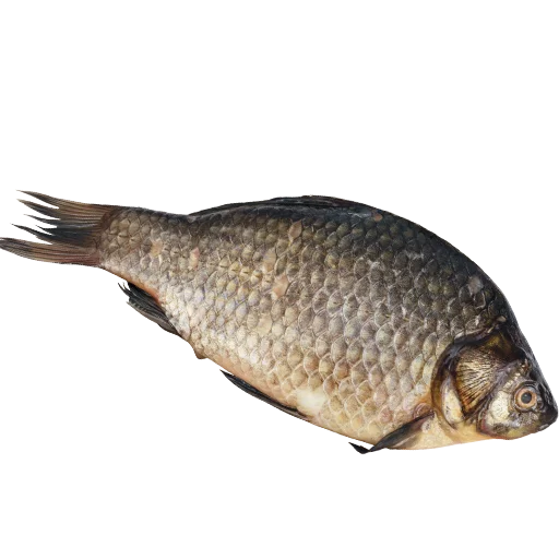 Стикерпак fish для Telegram