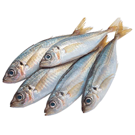 🦀 Стикер «fish» для Telegram