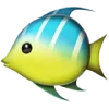 Стикер 6 Fish Reaction