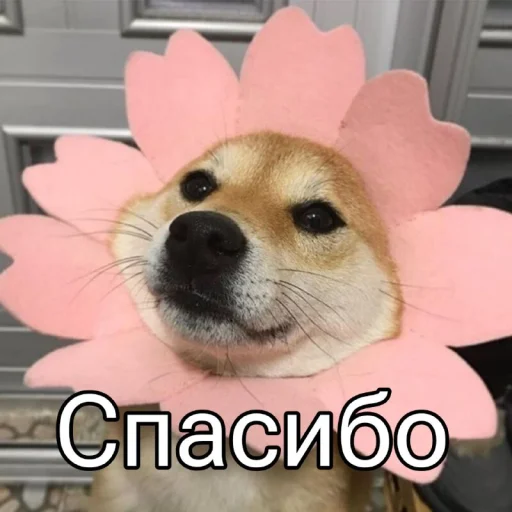 😊 Стикер «Five Plus Stickers» для Telegram