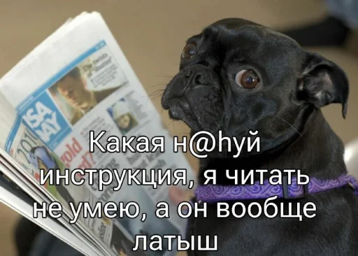 👀 Стикер «Five Plus Stickers» для Telegram