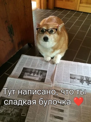 ❤️ Стикер «Five Plus Stickers» для Telegram
