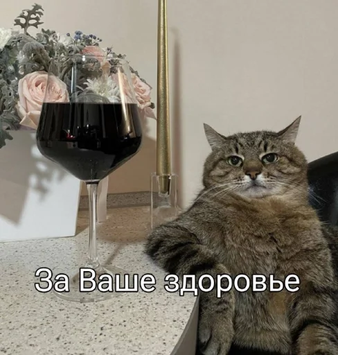 🍷 Стикер «Five Plus Stickers» для Telegram