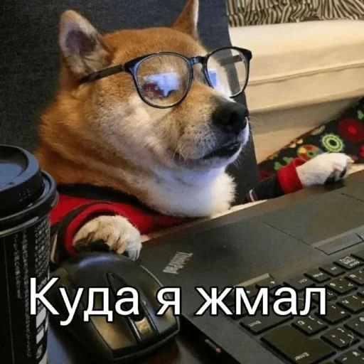 Стикерпак Five Plus Stickers для Telegram