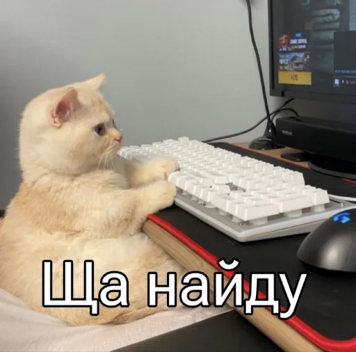 🤓 Стикер «Five Plus Stickers» для Telegram