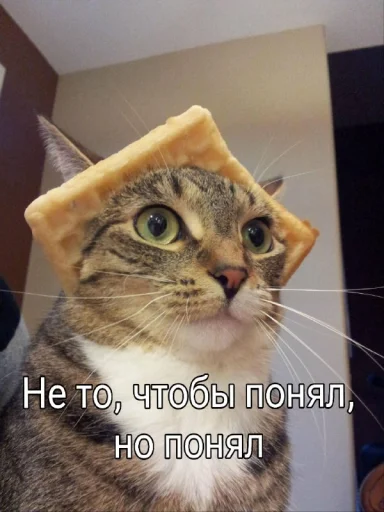😇 Стикер «Five Plus Stickers» для Telegram
