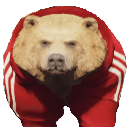 🐻 Стикер «TWITCH CHAT» для Telegram