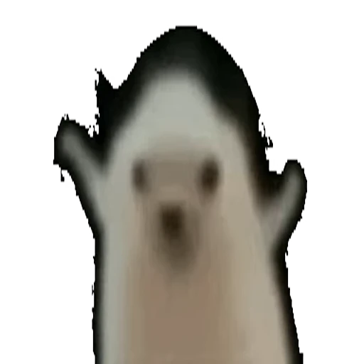 🕺 Стикер «TWITCH CHAT» для Telegram