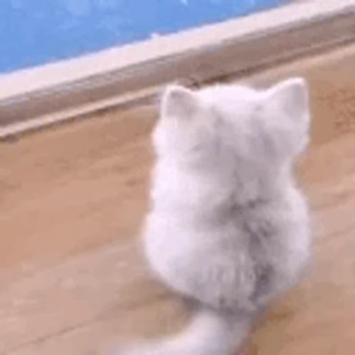 😻 Стикер «TWITCH CHAT» для Telegram