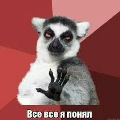 😌 Стикер «fuckin&; shittest» для Telegram