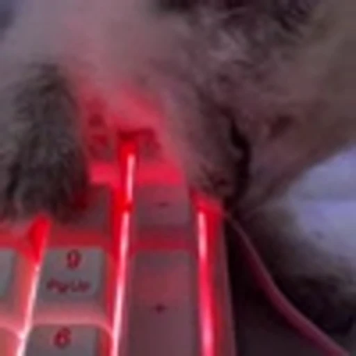 ⌨️ Эмодзи «fleur» для Telegram