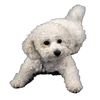 Стикер 49 Flex Animations