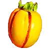 Стикер 13 Fl Studio
