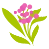 Стикер 27 🌿 flowers - цветы