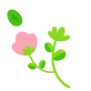 Стикер 5 🌿 flowers - цветы