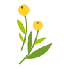 Стикер 29 🌿 flowers - цветы