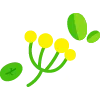 Стикер 11 🌿 flowers - цветы