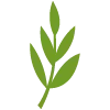 Стикер 22 🌿 flowers - цветы