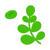 Стикер 9 🌿 flowers - цветы