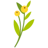 Стикер 30 🌿 flowers - цветы