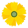 Стикер 55 🌿 flowers - цветы