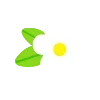 Обложка набора 🌿 flowers - цветы