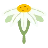 Стикер 54 🌿 flowers - цветы