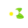Стикер 2 🌿 flowers - цветы