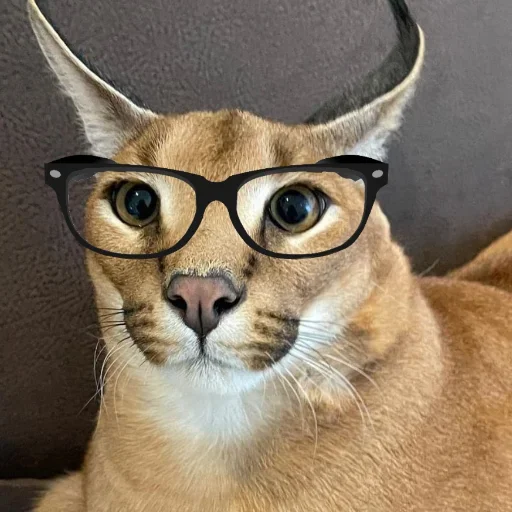 🤓 Стикер «Floppa / Шлёпа» для Telegram