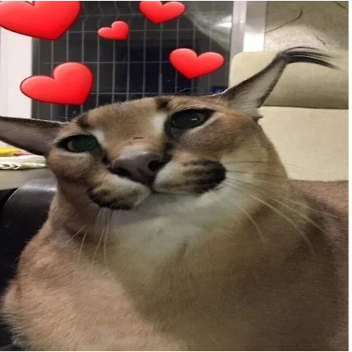 🥰 Стикер «Floppa / Шлёпа» для Telegram