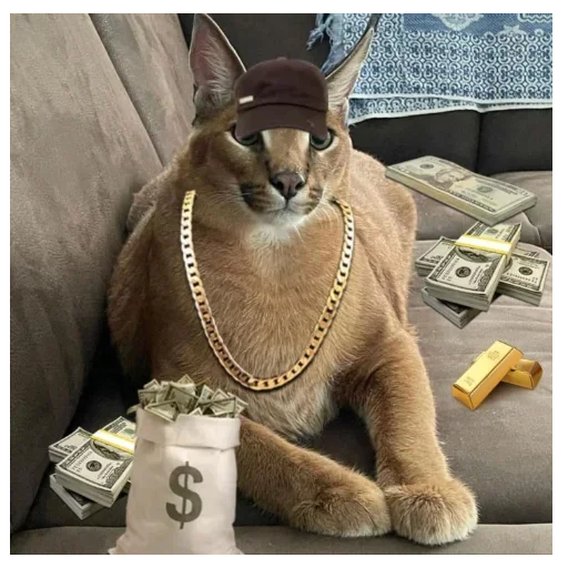 🤑 Стикер «Floppa / Шлёпа» для Telegram