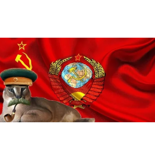 🥸 Стикер «Floppa / Шлёпа» для Telegram