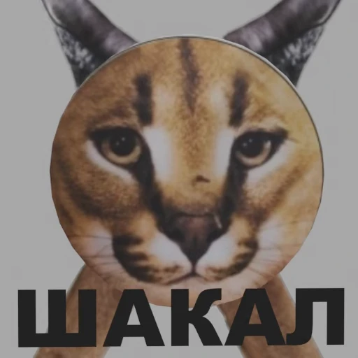 🐺 Стикер «ШЛЁПА В 3D» для Telegram