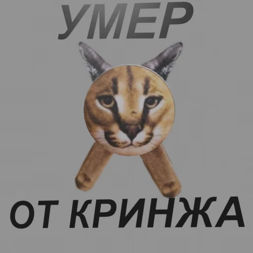💀 Стикер «ШЛЁПА В 3D» для Telegram