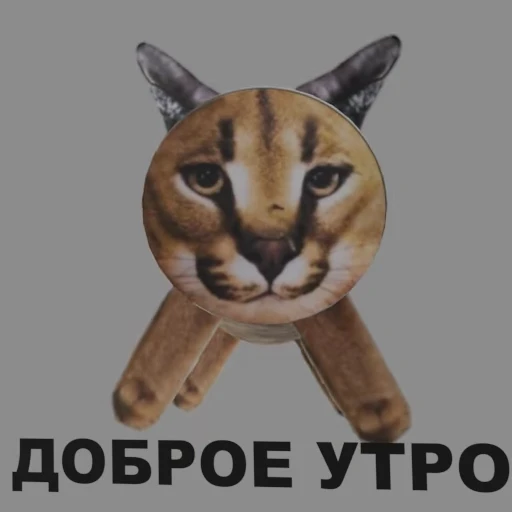 🌅 Стикер «ШЛЁПА В 3D» для Telegram