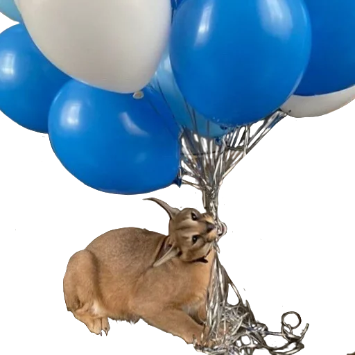 🎈 Стикер «Floppa Caracal» для Telegram