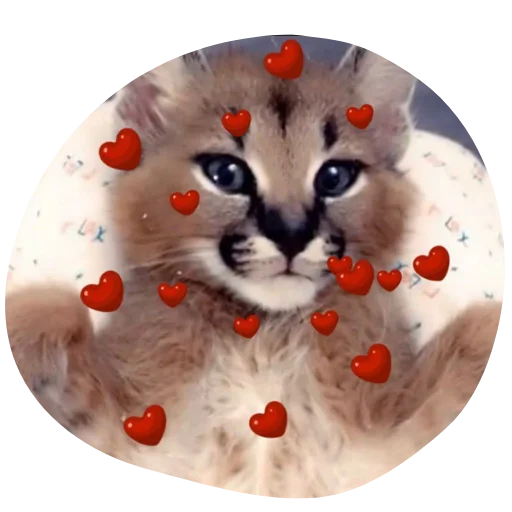 ❤️ Стикер «Flopped» для Telegram