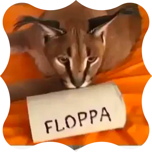 👆 Стикер «Flopped» для Telegram