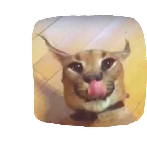 😋 Стикер «Flopped» для Telegram